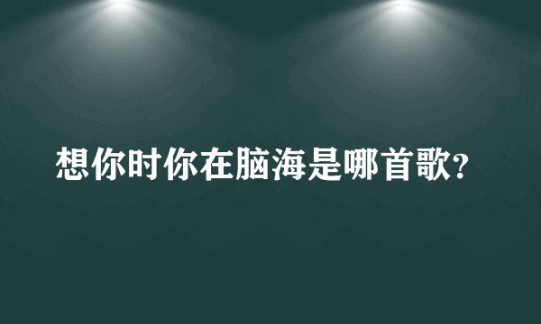 想你时你在脑海是哪首歌？