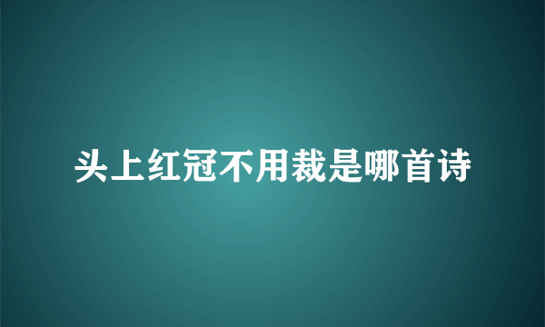 头上红冠不用裁是哪首诗