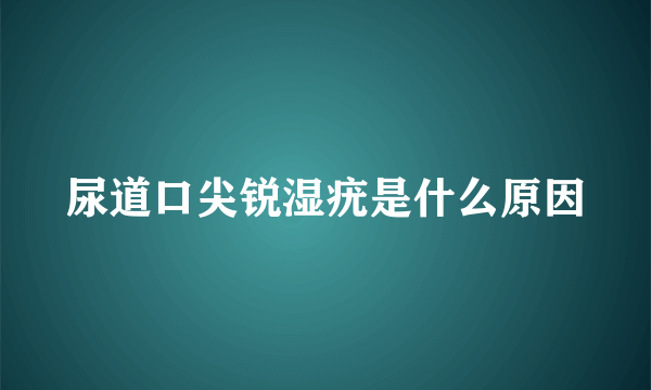 尿道口尖锐湿疣是什么原因