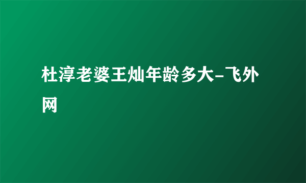 杜淳老婆王灿年龄多大-飞外网