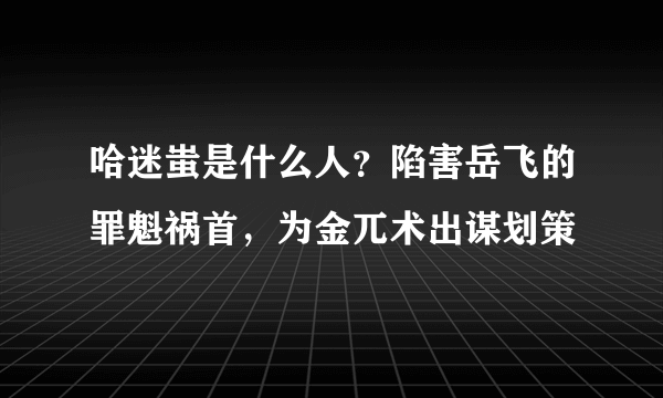 哈迷蚩是什么人？陷害岳飞的罪魁祸首，为金兀术出谋划策