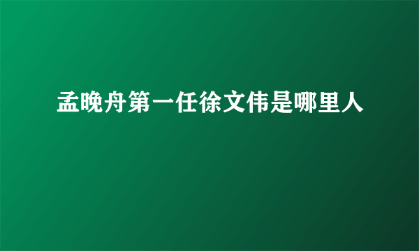 孟晚舟第一任徐文伟是哪里人