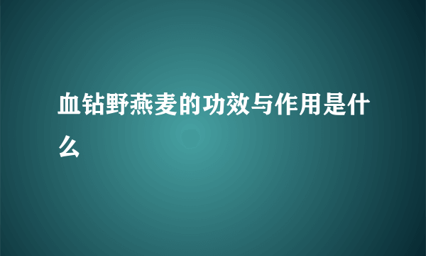 血钻野燕麦的功效与作用是什么