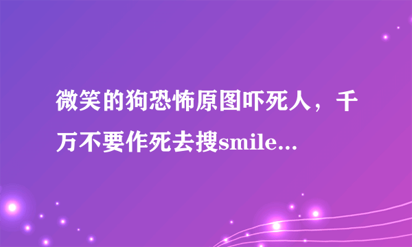 微笑的狗恐怖原图吓死人，千万不要作死去搜smile.jpg