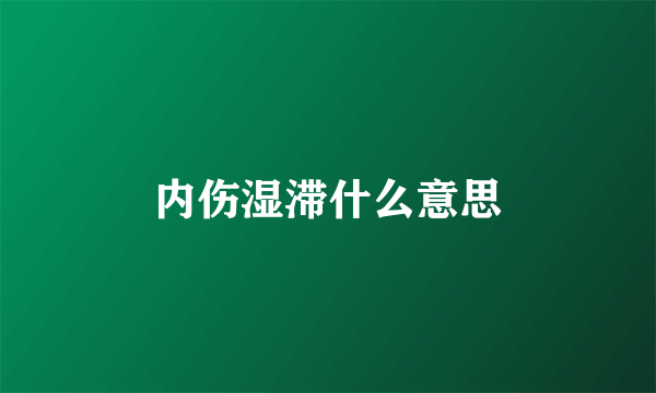 内伤湿滞什么意思