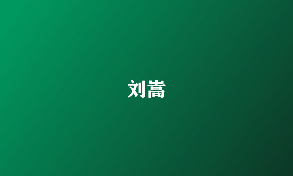 刘嵩