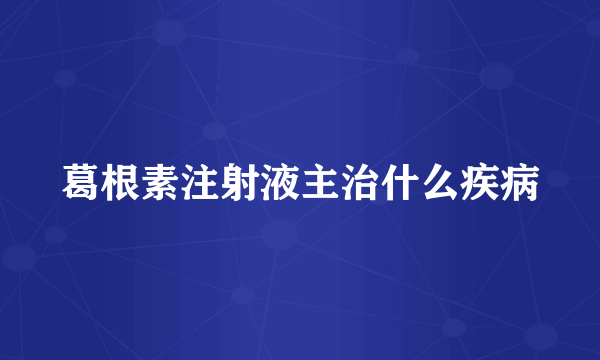 葛根素注射液主治什么疾病