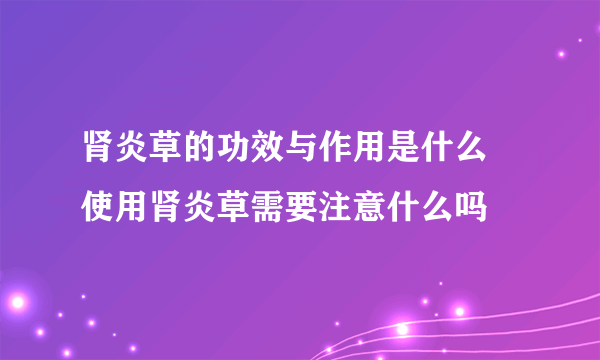 肾炎草的功效与作用是什么 使用肾炎草需要注意什么吗