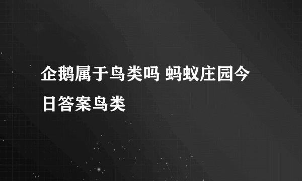 企鹅属于鸟类吗 蚂蚁庄园今日答案鸟类