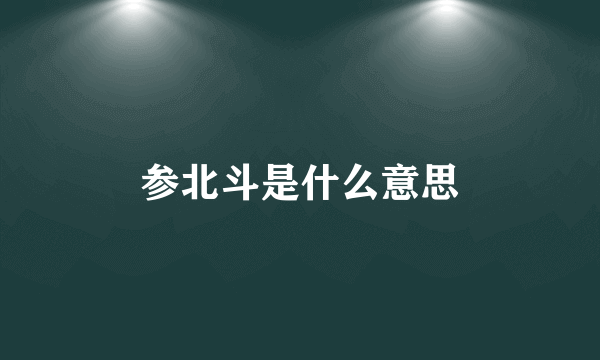 参北斗是什么意思