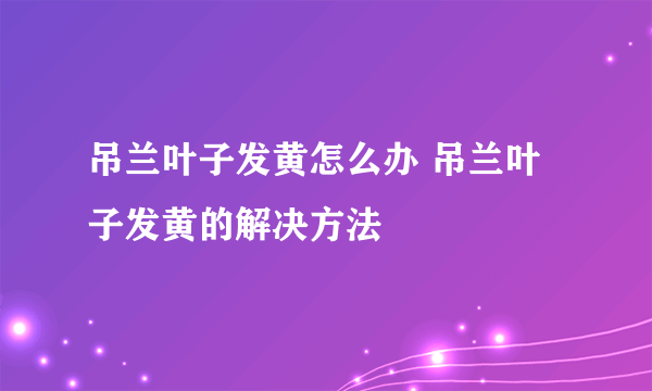 吊兰叶子发黄怎么办 吊兰叶子发黄的解决方法