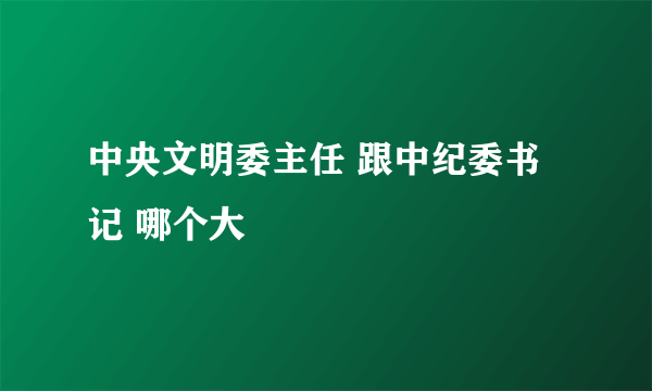 中央文明委主任 跟中纪委书记 哪个大