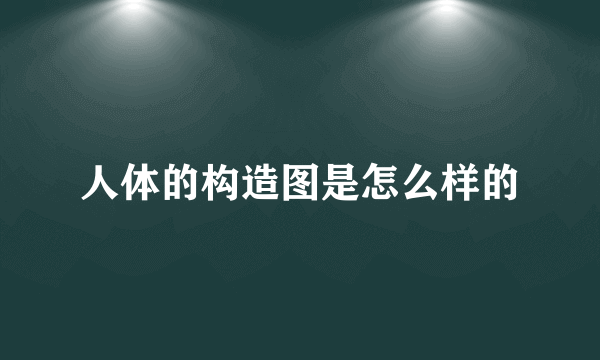 人体的构造图是怎么样的