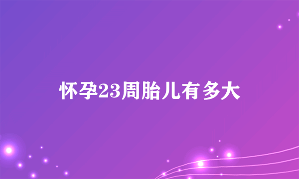 怀孕23周胎儿有多大