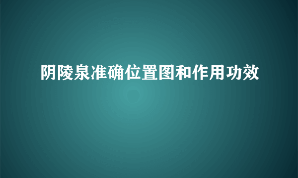 阴陵泉准确位置图和作用功效