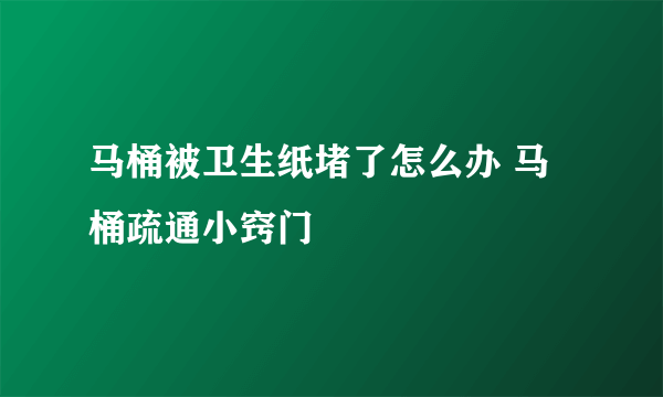 马桶被卫生纸堵了怎么办 马桶疏通小窍门