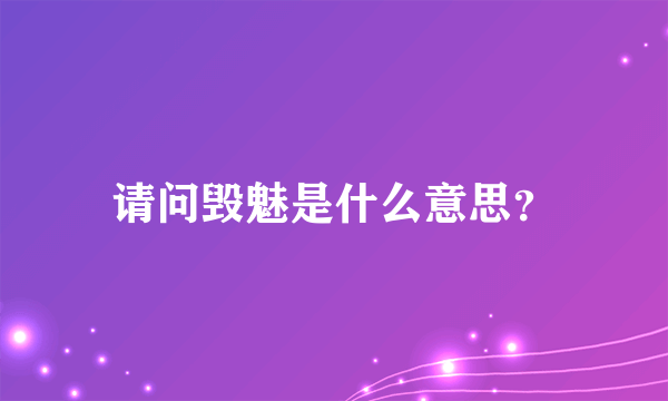 请问毁魅是什么意思？