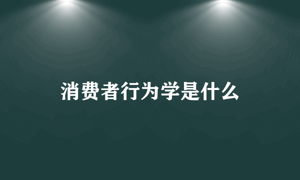 消费者行为学是什么