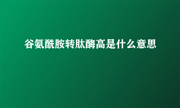 谷氨酰胺转肽酶高是什么意思