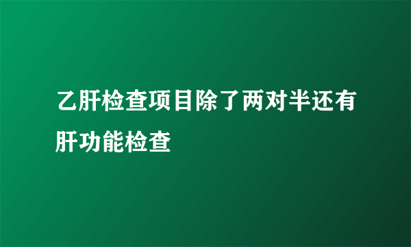 乙肝检查项目除了两对半还有肝功能检查