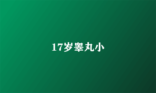 17岁睾丸小