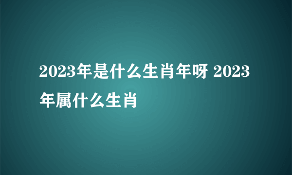 2023年是什么生肖年呀 2023年属什么生肖