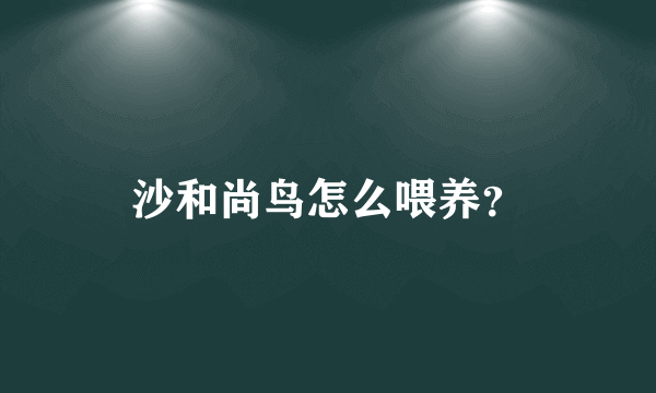 沙和尚鸟怎么喂养？