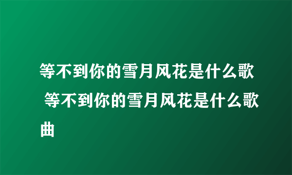 等不到你的雪月风花是什么歌 等不到你的雪月风花是什么歌曲