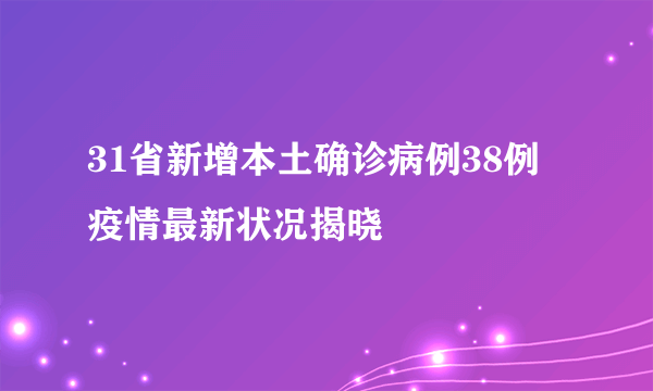 31省新增本土确诊病例38例 疫情最新状况揭晓