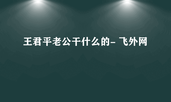 王君平老公干什么的- 飞外网