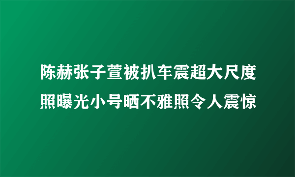 陈赫张子萱被扒车震超大尺度照曝光小号晒不雅照令人震惊