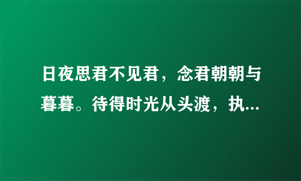 日夜思君不见君，念君朝朝与暮暮。待得时光从头渡，执卿之手共天涯。是什么意思?求解？