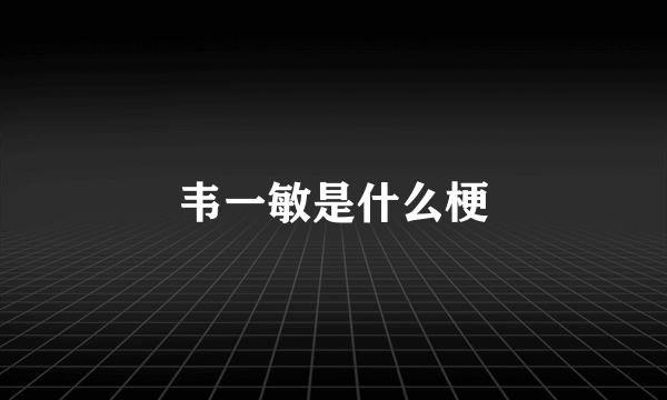 韦一敏是什么梗