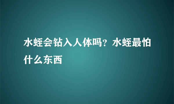 水蛭会钻入人体吗？水蛭最怕什么东西