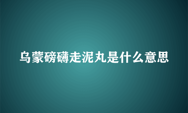 乌蒙磅礴走泥丸是什么意思