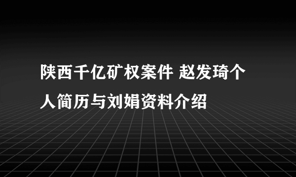 陕西千亿矿权案件 赵发琦个人简历与刘娟资料介绍