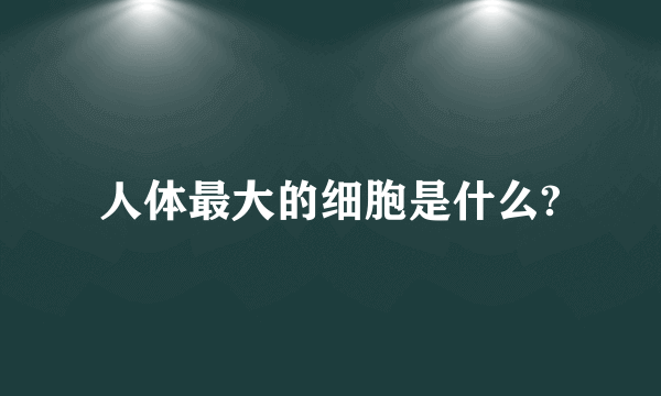 人体最大的细胞是什么?