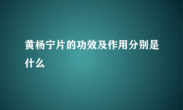 黄杨宁片的功效及作用分别是什么