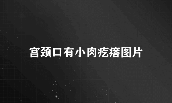 宫颈口有小肉疙瘩图片