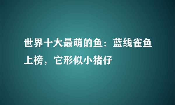 世界十大最萌的鱼：蓝线雀鱼上榜，它形似小猪仔