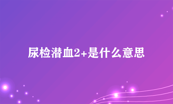 尿检潜血2+是什么意思