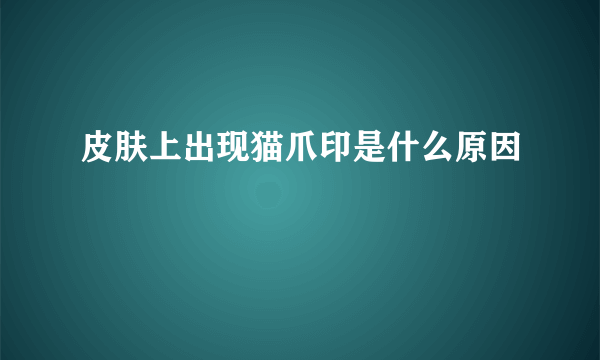 皮肤上出现猫爪印是什么原因