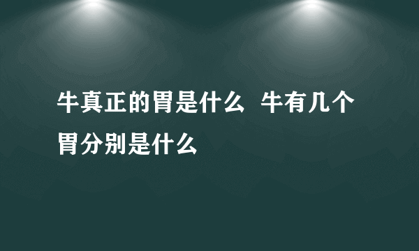 牛真正的胃是什么  牛有几个胃分别是什么