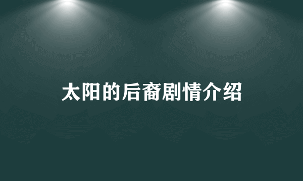 太阳的后裔剧情介绍