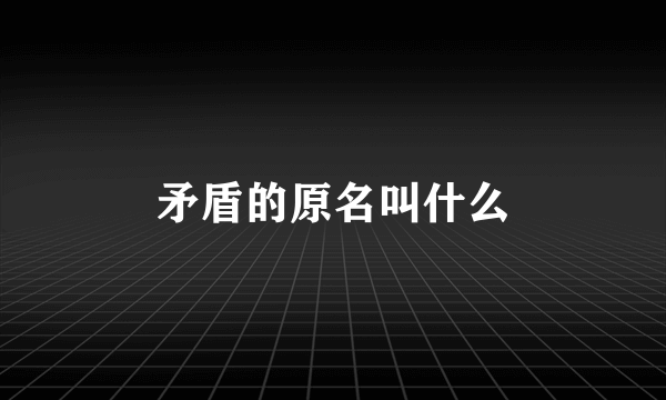 矛盾的原名叫什么