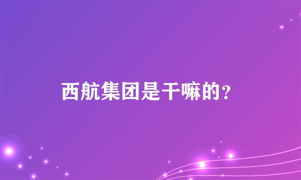 西航集团是干嘛的？