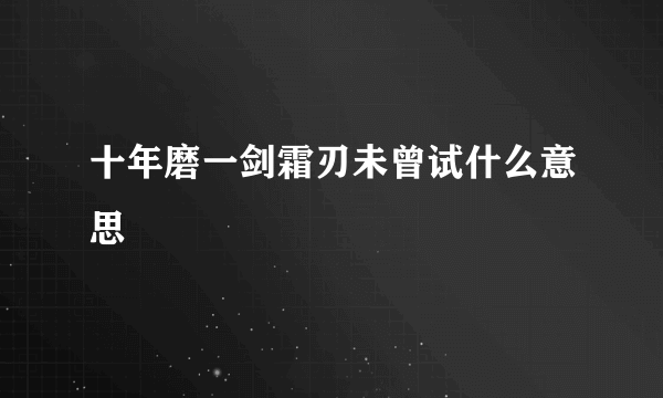 十年磨一剑霜刃未曾试什么意思