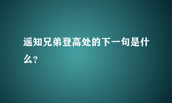 遥知兄弟登高处的下一句是什么？