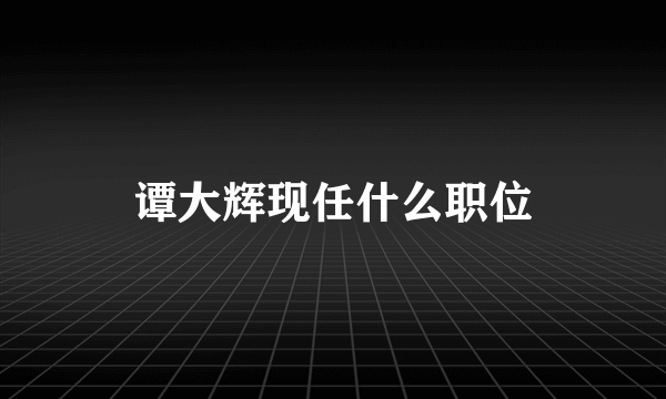 谭大辉现任什么职位