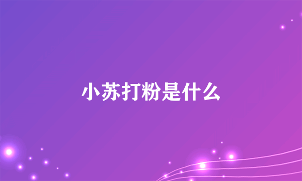 小苏打粉是什么